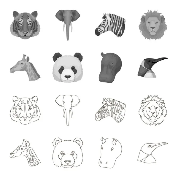 Panda, giraff, flodhäst, pingvin, realistiska djur som samling ikoner i disposition, svartvit stil vektor symbol stock illustration web. — Stock vektor