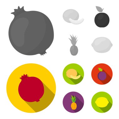 Karpuz, Erik, ananas, limon. Meyve toplama simgeler tek renkli, düz stil vektör simge stok çizim web ayarla..