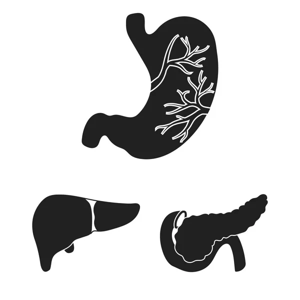 Órgãos internos de um ícones pretos humanos na coleção de jogo do desenho. Anatomia e medicina vetor símbolo web ilustração . — Vetor de Stock
