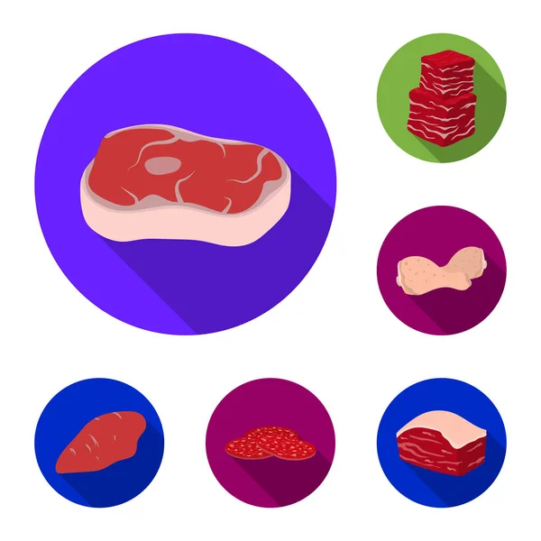 디자인에 대 한 설정된 컬렉션에 다른 고기 플랫 아이콘. 고기 제품 벡터 기호 재고 웹 일러스트 레이 션. — 스톡 벡터