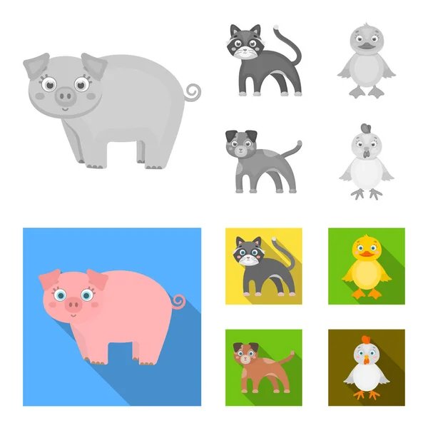 Animations, ferme, animaux de compagnie et autres icônes web en monochrome, style plat. Œufs, jouet, icônes de loisirs dans la collection set . — Image vectorielle