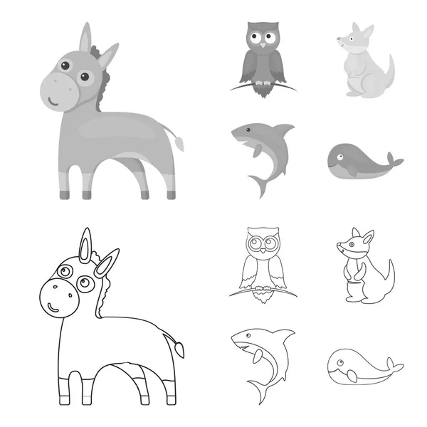 Esel, Eule, Känguru, Hai. Animal Set Sammlung Symbole in Umrissen, monochromen Stil Vektor Symbol Stock Illustration Web. — Stockvektor
