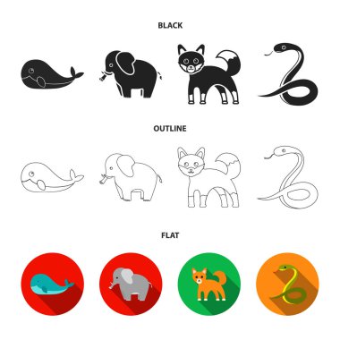 Balina, fil, yılan, fox. Hayvan koleksiyonu Icons set siyah, düz, anahat stili vektör simge stok çizim web.