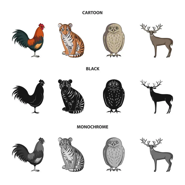 Coq, tigre, cerf, hibou et autres animaux.Animaux mis icônes de la collection en dessin animé, noir, monochrome style vectoriel symbole illustration web . — Image vectorielle