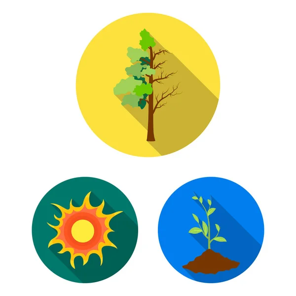 Биологические и экологические плоские иконки в коллекции наборов для дизайна. Экологически чистая веб-иллюстрация векторного символа продукта . — стоковый вектор