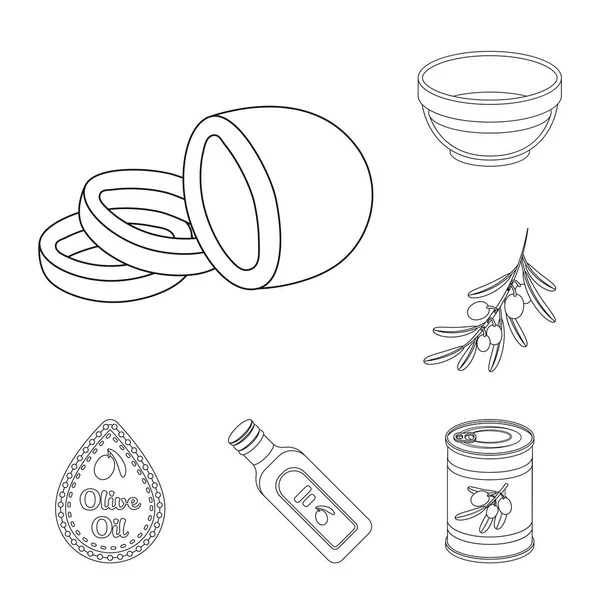디자인에 대 한 설정된 컬렉션에 올리브, 음식 개요 아이콘. 올리브 오일, 양념 벡터 기호 재고 웹 일러스트 레이 션. — 스톡 벡터