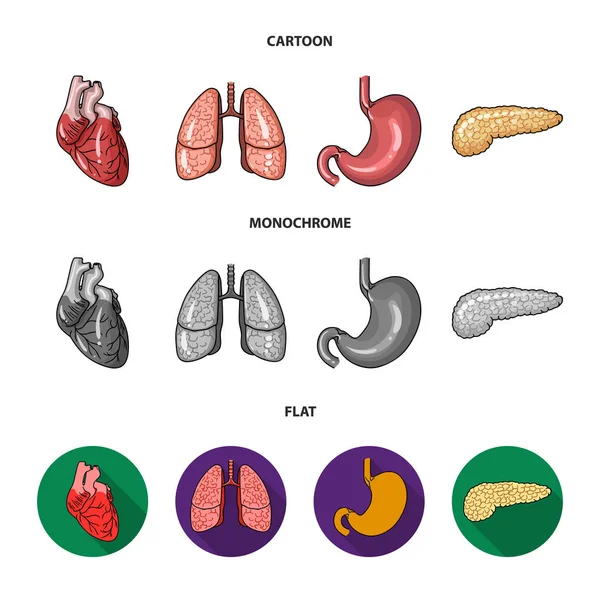 Coeur, poumons, estomac, pancréas. Organes humains mis icônes de collection dans la bande dessinée, plat, monochrome style vectoriel symbole illustration web . — Image vectorielle