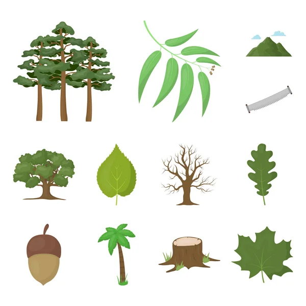 Wald und Natur Cartoon-Ikonen in Set-Kollektion für Design. Wald Leben Vektor Symbol Lager Web Illustration. — Stockvektor