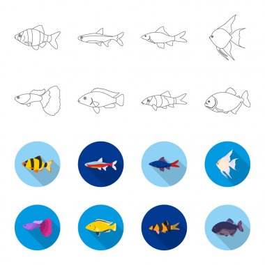 Botia, palyaço, piranha, Çiklit, sinek kuşu, guppy, Balık anahat, düz stil vektör simge stok çizim web simgeler ayarla.