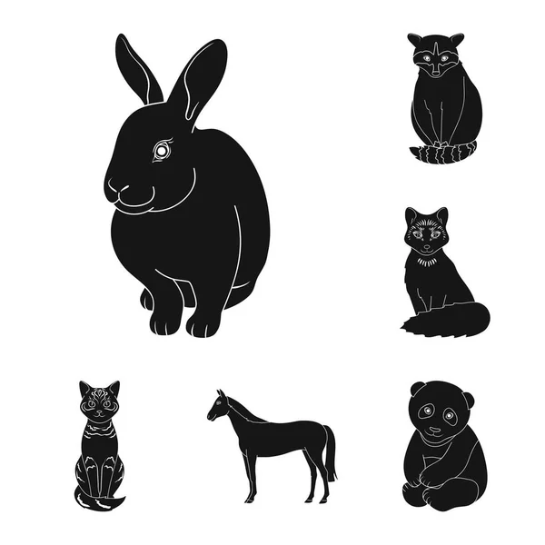 Realistische Tiere schwarze Symbole in Set-Kollektion für Design. wilde und Haustiere Vektor Symbol Stock Web Illustration. — Stockvektor