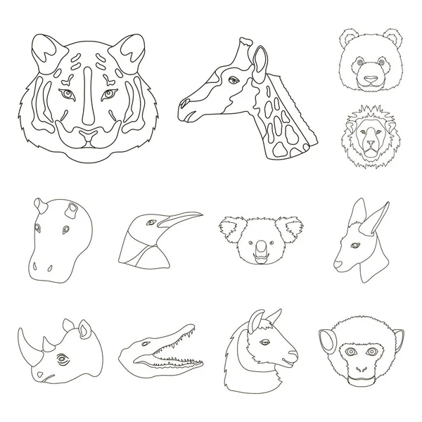Vilda djur disposition ikoner i set insamling för design. Däggdjurs- och fågelarter vektor symbol lager web illustration. — Stock vektor