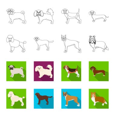 Köpek ırkları anahat, set koleksiyonu tasarım için flet simgeler. Köpek evde beslenen hayvan vektör simge stok web çizim.