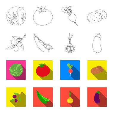 Zeytin dal, bezelye, soğan, patlıcan. Sebze toplama simgeler anahat, düz stil vektör simge stok çizim web ayarla..