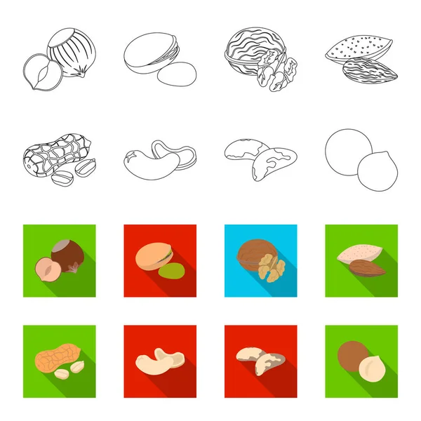 Arachides, noix de cajou, noix de brésil, macadamia. Différents types de noix ensemble icônes de la collection dans le contour, style plat symbole vectoriel illustration web . — Image vectorielle