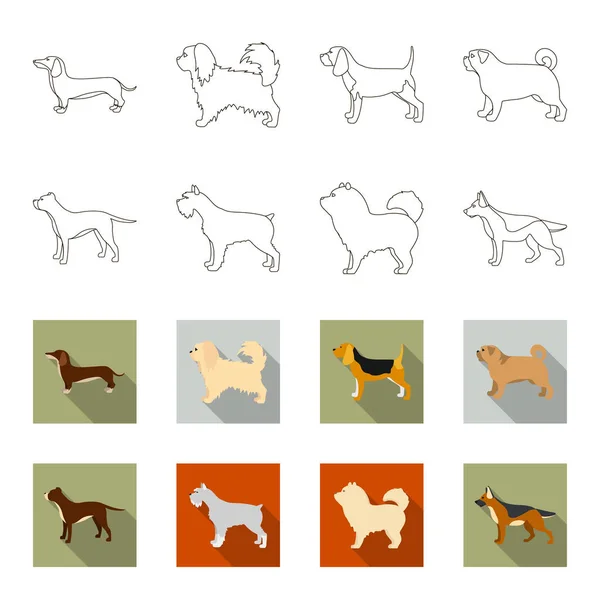 Pit Bull, pastor alemão, comida, schnauzer. Raças de cães definir ícones de coleção em esboço, estilo flet vector símbolo ilustração web . — Vetor de Stock