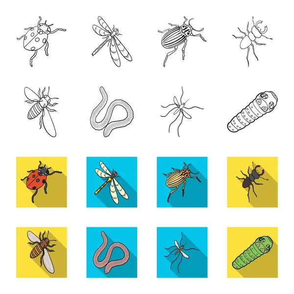 Artrópodes inseto mosquito, abelha. verme da terra, lagarta, ícones de coleção conjunto vermicular em esboço, estilo plano símbolo vetorial estoque isométrico ilustração web . — Vetor de Stock