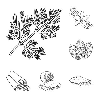 Ot ve baharat set koleksiyonu tasarım için simgeleri anahat. Baharat çeşitleri simge stok web illüstrasyon vektör.