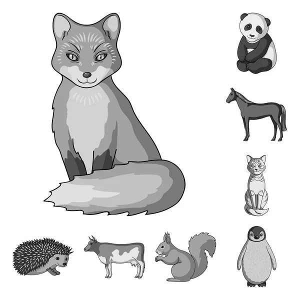 Realistische Tiere monochrome Symbole in Set-Kollektion für Design. wilde und Haustiere Vektor Symbol Stock Web Illustration. — Stockvektor