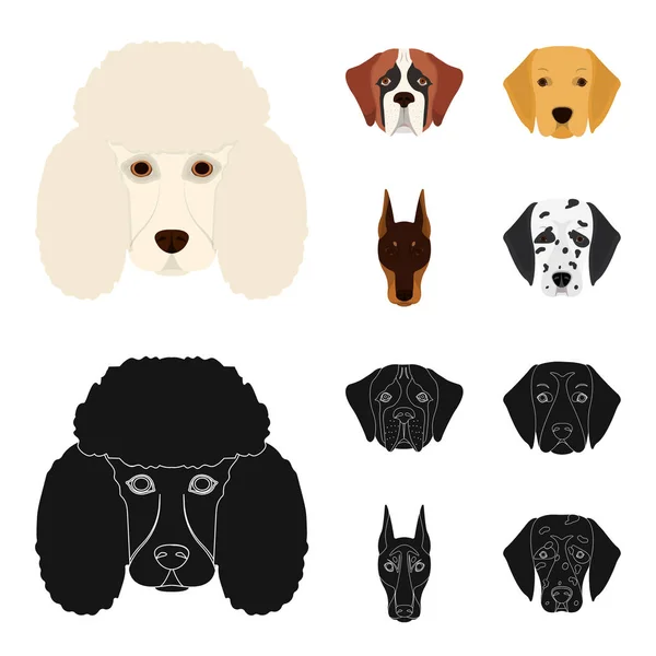 Bozal de diferentes razas de perros.Perro de la raza San Bernardo, golden retriever, Doberman, dálmata conjunto colección iconos en dibujos animados, negro estilo vector símbolo stock ilustración web . — Vector de stock