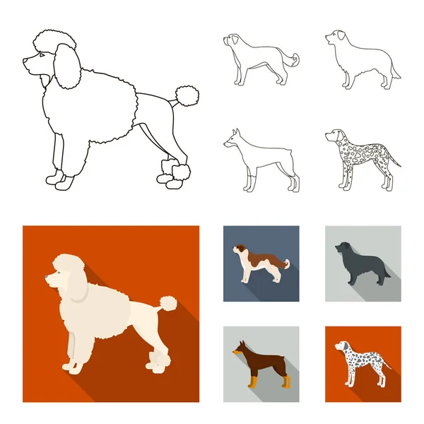 San Bernardo, recuperador, doberman, labrador. Perro razas conjunto colección iconos en el contorno, plano estilo vector símbolo stock ilustración web . — Vector de stock