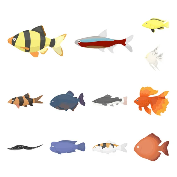 Verschillende soorten vis cartoon pictogrammen in set collectie voor design. Mariene en aquarium vissen symbool voorraad web vectorillustratie. — Stockvector