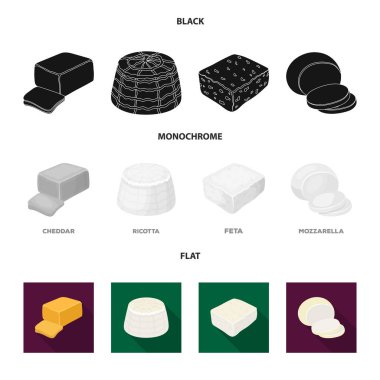 Mozzarella peyniri, beyaz peynir, kaşar peyniri, ricotta. Farklı peynir toplama simgeler siyah, düz, tek renkli stil vektör simge stok çizim web içinde ayarla..