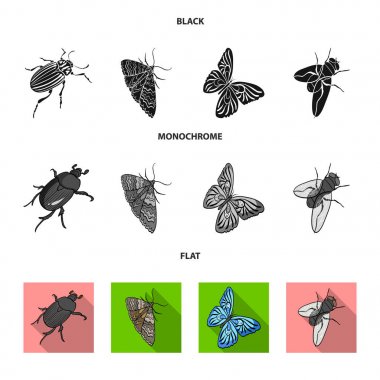 Eklembacaklılar böcek böcek, güve, kelebek, sinek. Böcekler toplama simgeler siyah, düz, tek renkli stil vektör simge stok izometrik çizim web içinde ayarla..
