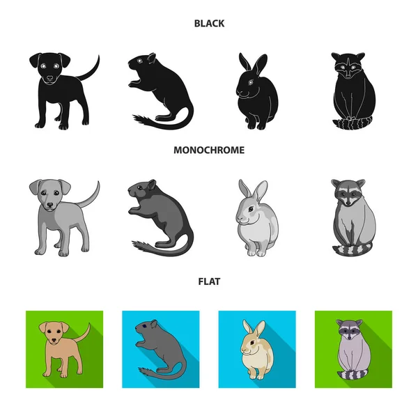Κουτάβι, τρωκτικό, κουνέλι και άλλα είδη ζώων. Ζώα εικόνες συλλογή που σε μαύρο, επίπεδη, μονόχρωμη στυλ διάνυσμα σύμβολο μετοχής εικονογράφηση web. — Διανυσματικό Αρχείο