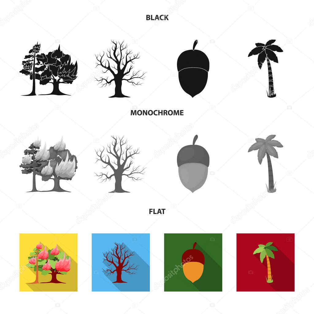 Burning tree, palm, acorn, dry tree.Forest set collection icons in black, flat, monochrome style vector symbol stock illustration web.