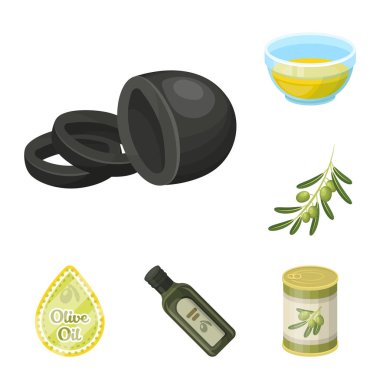 Set koleksiyonu tasarım için zeytin, gıda karikatür simgeler. Zeytin yağı, vektör simge stok web illüstrasyon baharat.