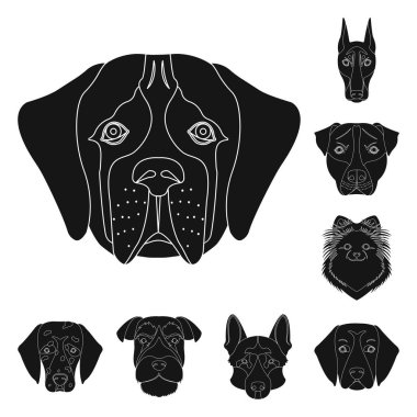 Köpek ırkları set koleksiyonu tasarım için simgeler siyah. Bir köpek vektör simge stok web illüstrasyon namlu.