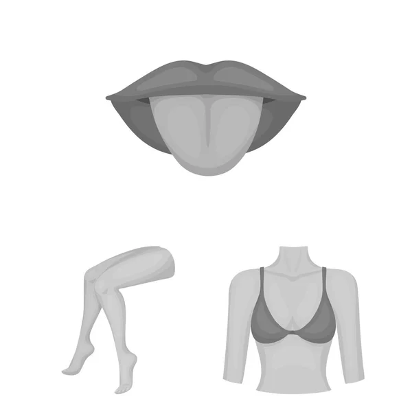 Deel van het lichaam, ledemaat zwart-wit pictogrammen in set collectie voor design. Menselijke anatomie vectorillustratie symbool voorraad web. — Stockvector