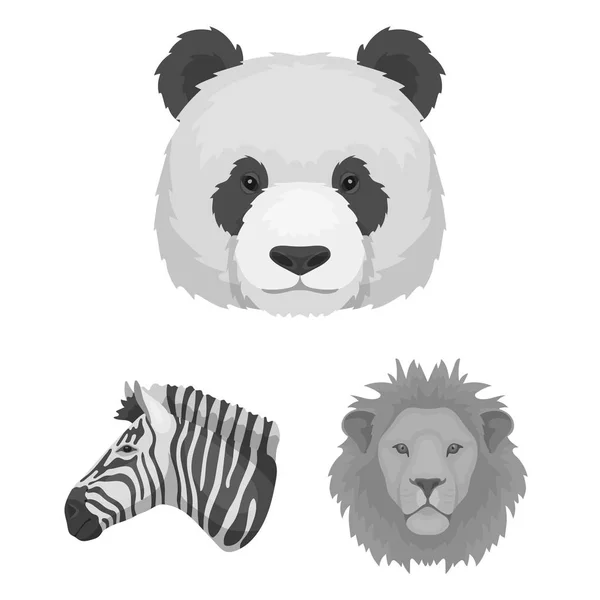 Vilda djur svartvita ikoner i set insamling för design. Däggdjurs- och fågelarter vektor symbol lager web illustration. — Stock vektor