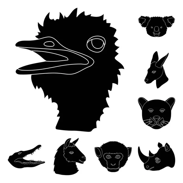 Iconos de animales salvajes negros en la colección de conjuntos para el diseño. Mamíferos y aves vector símbolo stock web ilustración . — Vector de stock