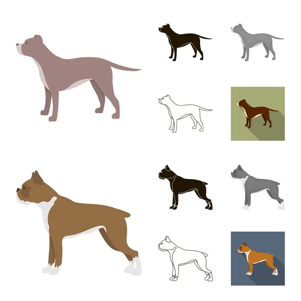 Hund raser tecknad, svart, platt, monokrom, skissera ikoner i set samling för design. Hund husdjur vektor symbol lager web illustration. — Stock vektor