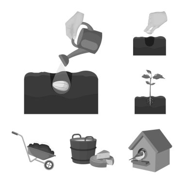 Çiftlik ve tarım tek renkli simgeler set koleksiyonu tasarım için. Bahçe ve bitki izometrik vektör simge stok web çizim.