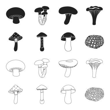 Amanita, porcini, siyah truffle, mantarı. toplama simgeler siyah, anahat stili vektör simge stok çizim web ayarla.