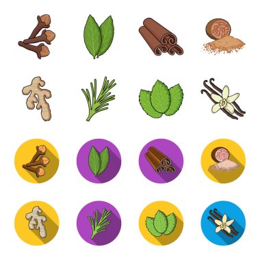 Ginger, biberiye, vanilya, nane. Otlar ve baharatlar çizgi film, düz stil vektör simge stok çizim web simgeler ayarla.
