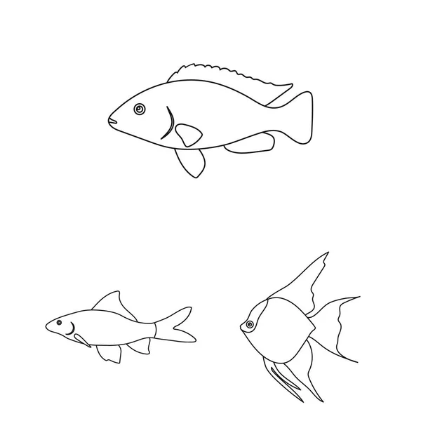 Diferentes tipos de ícones de contorno de peixes na coleção de conjuntos para design. Marinho e aquário peixe símbolo vetor web ilustração . — Vetor de Stock