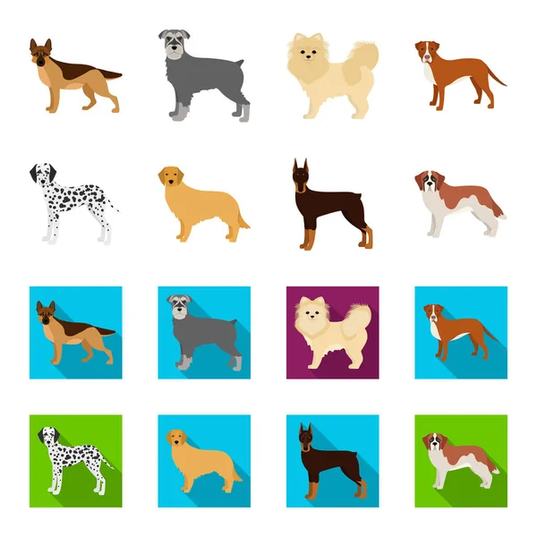 Φυλές σκυλιών κινούμενων σχεδίων, επίπεδη εικονίδια στη συλλογή σετ για σχεδιασμό. Σκύλος συντροφιάς διάνυσμα σύμβολο μετοχών web εικονογράφηση. — Διανυσματικό Αρχείο