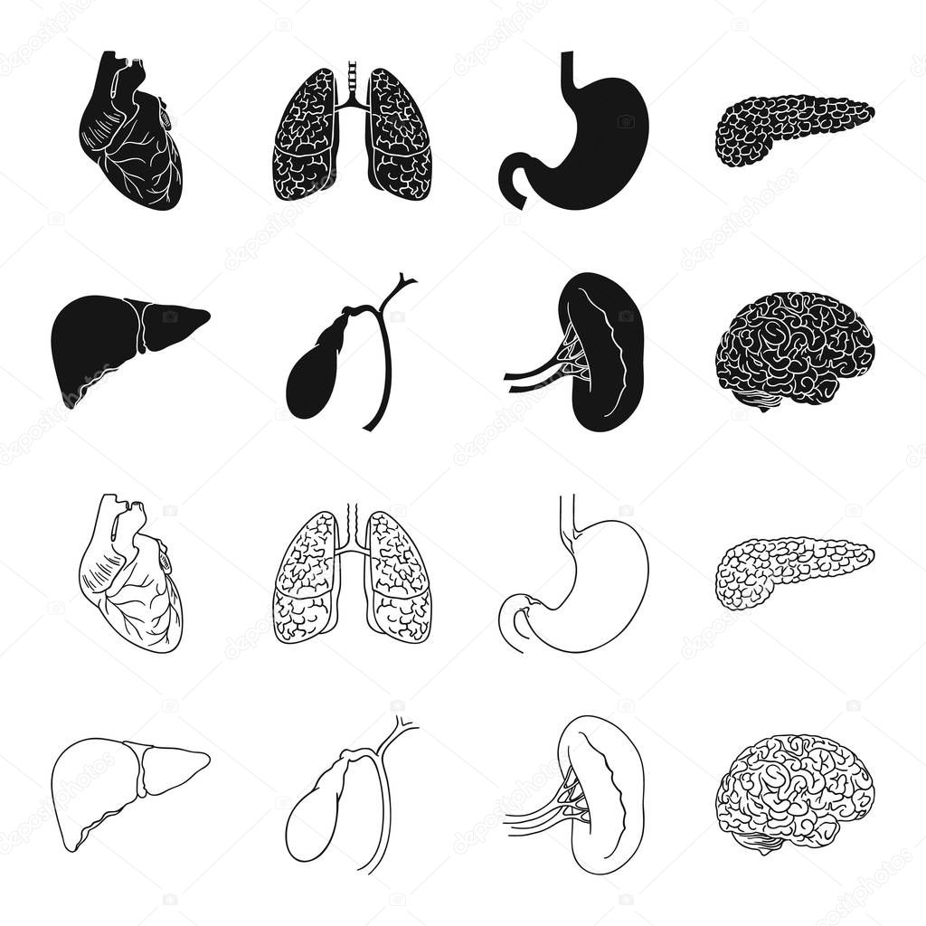 Liver, gallbladder, kidney, brain. Human organs set collection icons in black,outline style vector symbol stock illustration web.