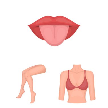 Vücut, bacak karikatür simgeleri tasarım için küme toplama bir parçası. İnsan anatomisi vektör simge stok web çizimi.