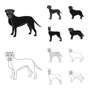 Siyah, set koleksiyonu tasarım için anahat simgelerini köpek doğurmak. Köpek evde beslenen hayvan vektör simge stok web çizim.