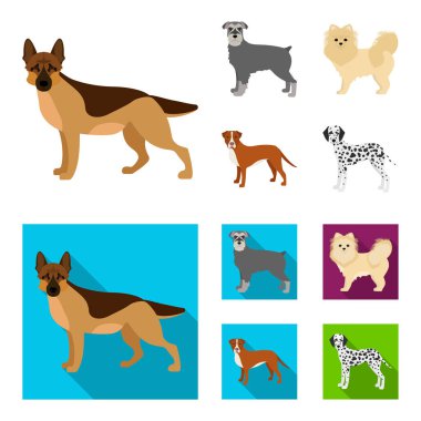 Köpek doğurmak çizgi film, set koleksiyonu tasarım için düz simgeler. Köpek evde beslenen hayvan vektör simge stok web çizim.