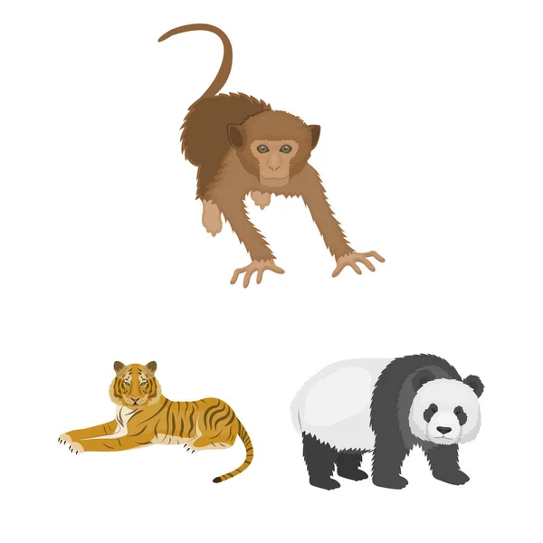 Verschillende dieren cartoon pictogrammen in set collectie voor design. Vogel, predator en herbivoor symbool voorraad web vectorillustratie. — Stockvector