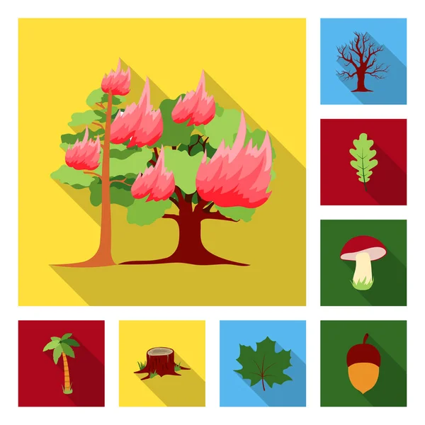 Δάσος και φύση επίπεδη εικονίδια στη συλλογή σετ για σχεδιασμό. Δάσος ζωή διάνυσμα σύμβολο μετοχής web εικονογράφηση. — Διανυσματικό Αρχείο