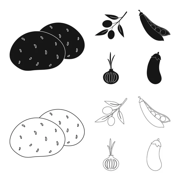 Azeitonas em um ramo, ervilhas, cebolas, berinjela. Vegetais conjunto coleção ícones em preto, esboço estilo vetor símbolo estoque ilustração web . — Vetor de Stock