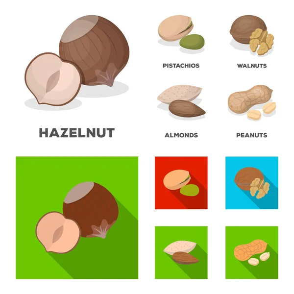 Hazelnut, фисташки, грецкий орех, миндаль. Различные виды орехов набор иконки коллекции в мультфильме, плоский стиль векторные символы фондового иллюстрации веб . — стоковый вектор