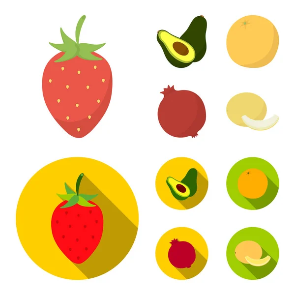 Fresa, bayas, aguacate, naranja, granada. Iconos de colección de conjuntos de frutas en dibujos animados, vector de estilo plano símbolo stock illustration web . — Vector de stock
