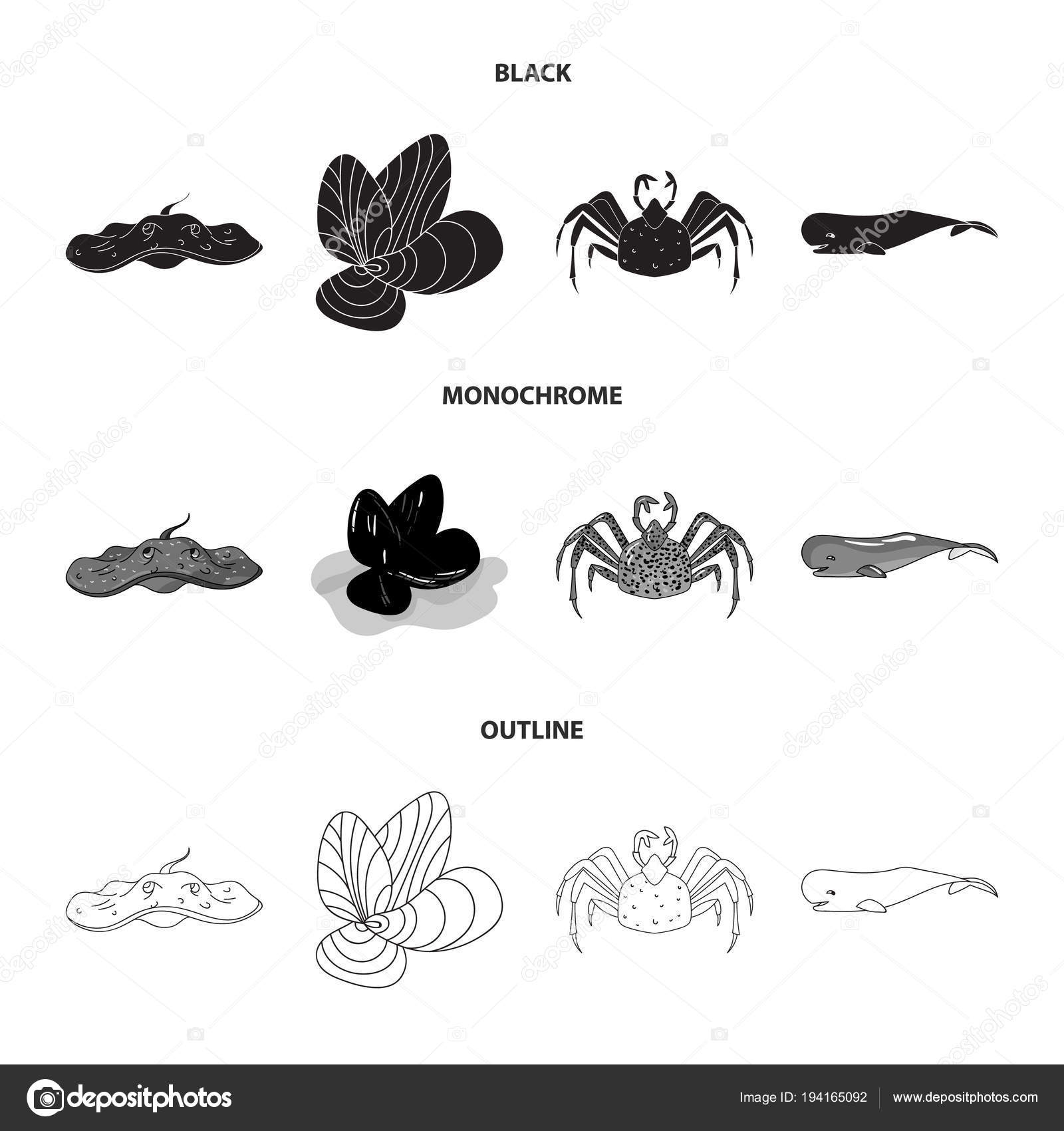 すべての動物の画像 無料印刷可能カニ イラスト 白黒